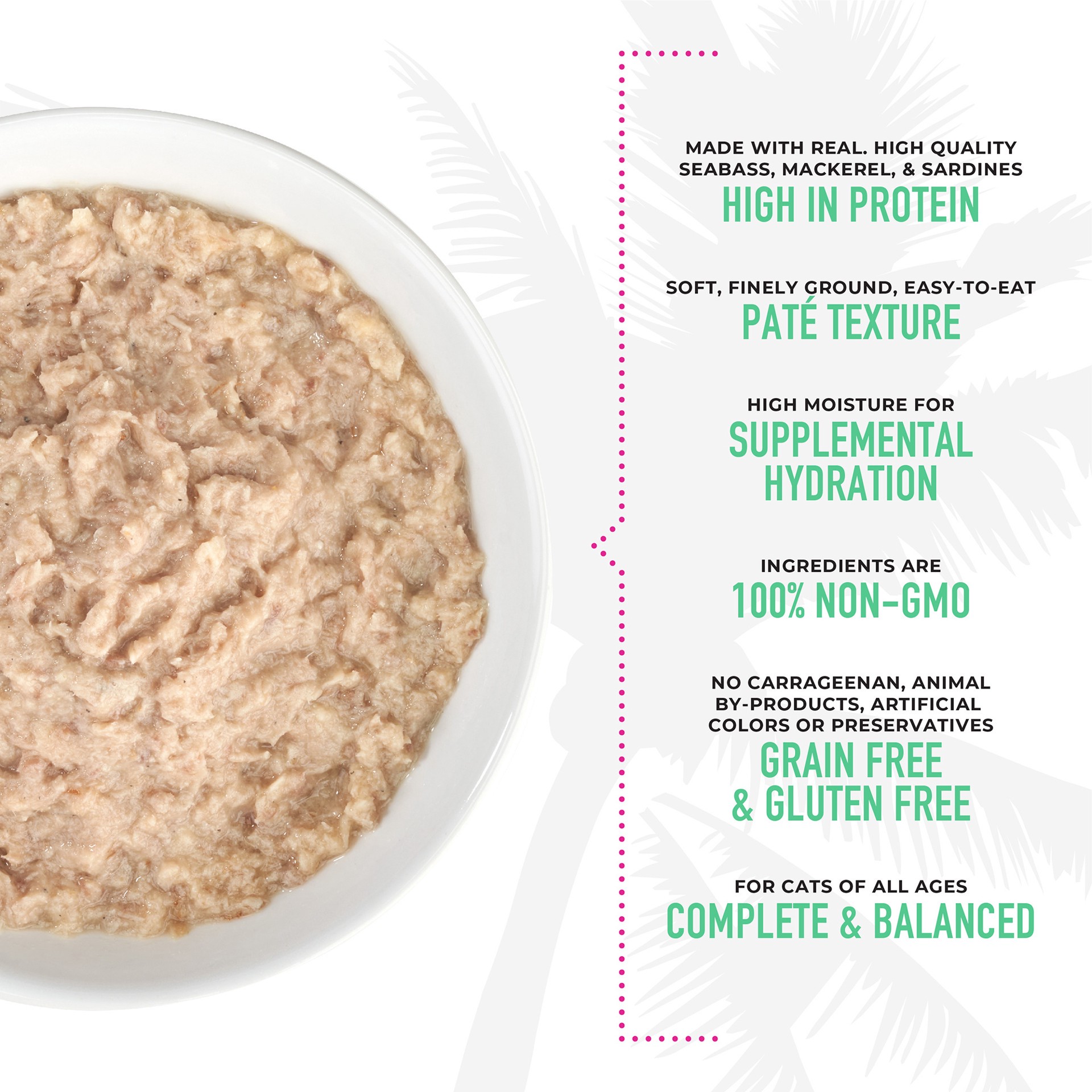 slide 4 of 6, Tiki Cat Seabass Pate, 1 ct