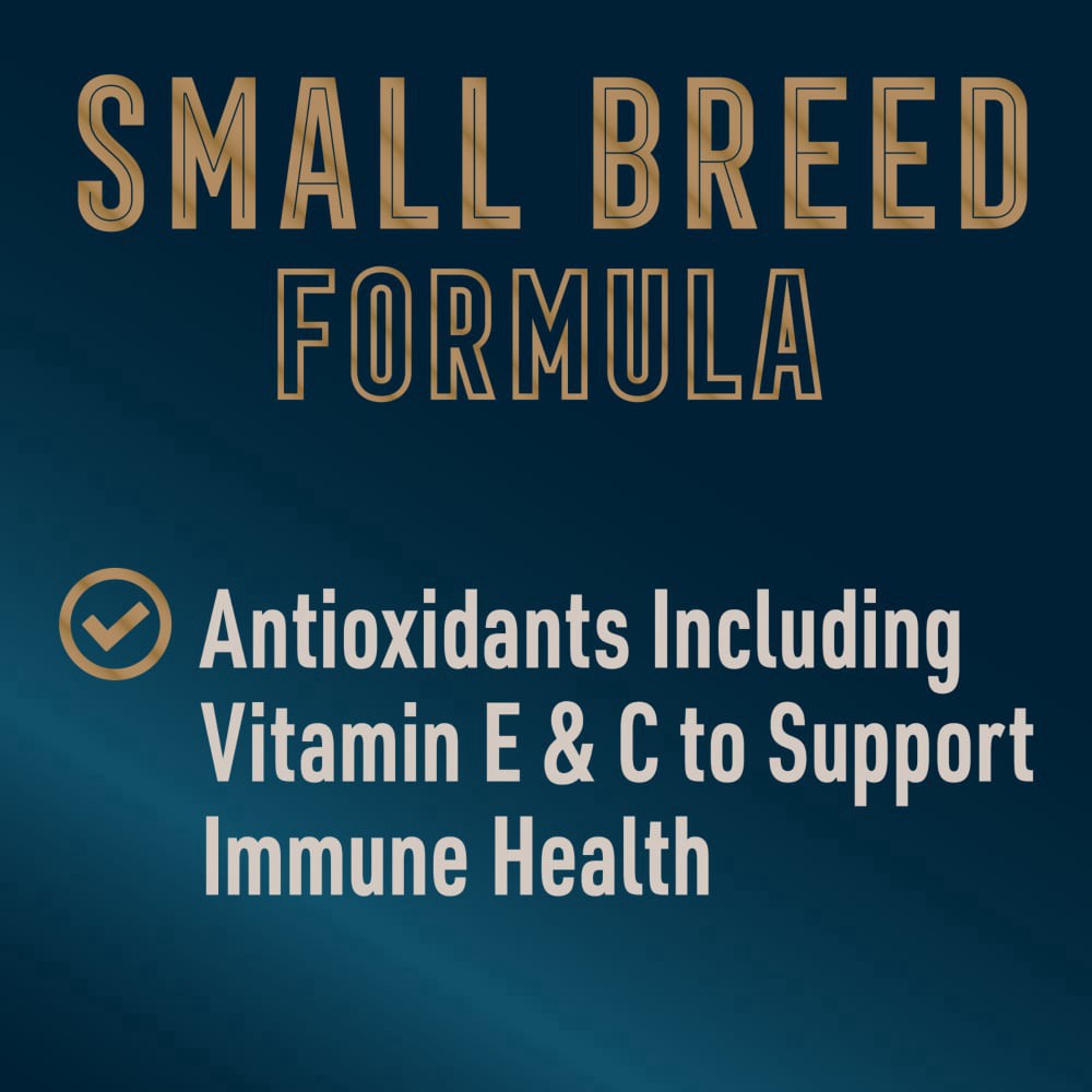 slide 4 of 5, Abound Pro Small Breed Beef & Sweet Potato Dry Dog Food, 16 lb