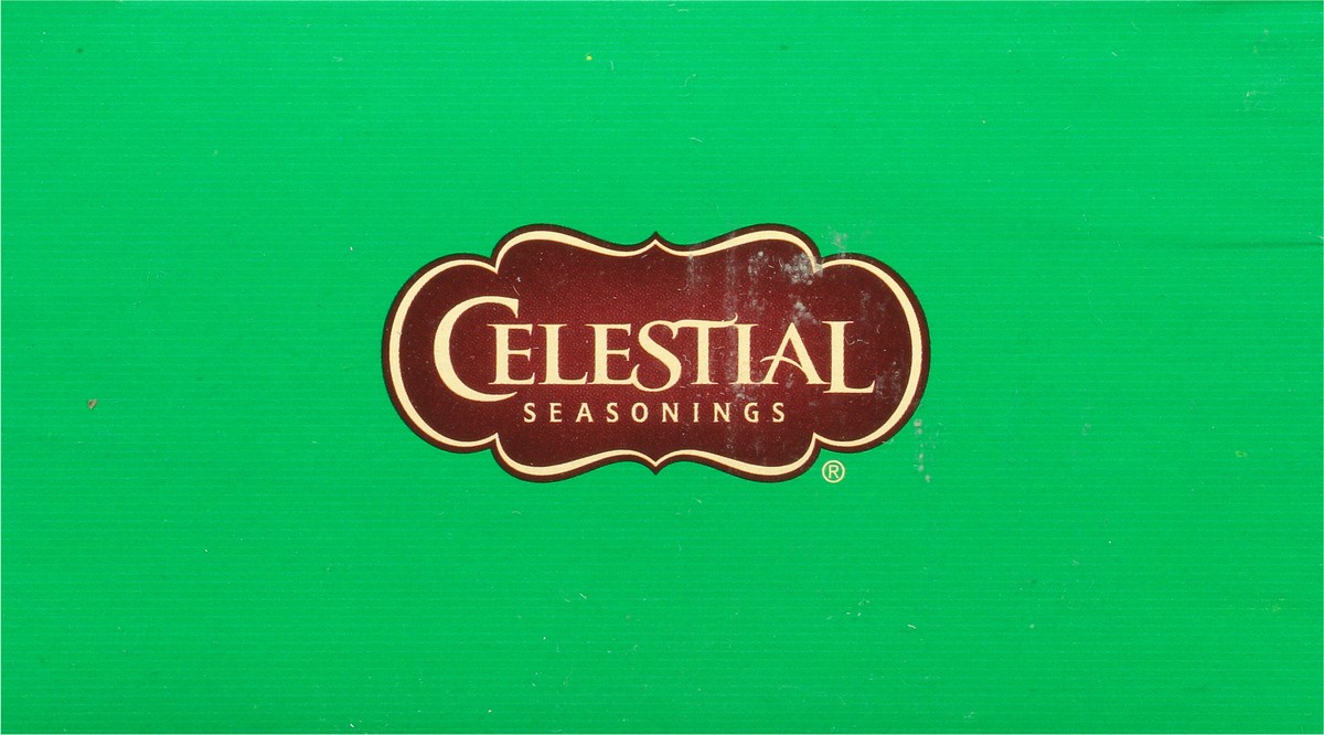 slide 8 of 8, Celestial Seasonings Authentic Green Tea Bags - 40 ct, 40 ct