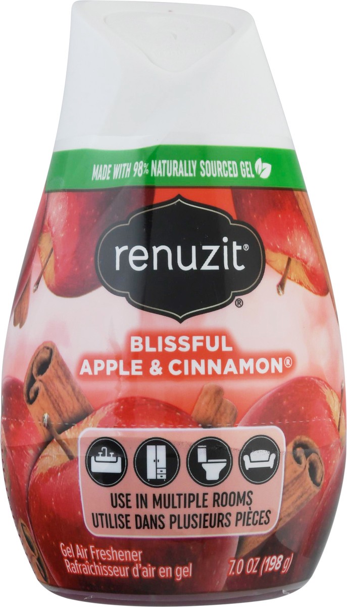 slide 4 of 13, Renuzit Gel Blissful Apple & Cinnamon Air Freshener 7 oz, 7 oz