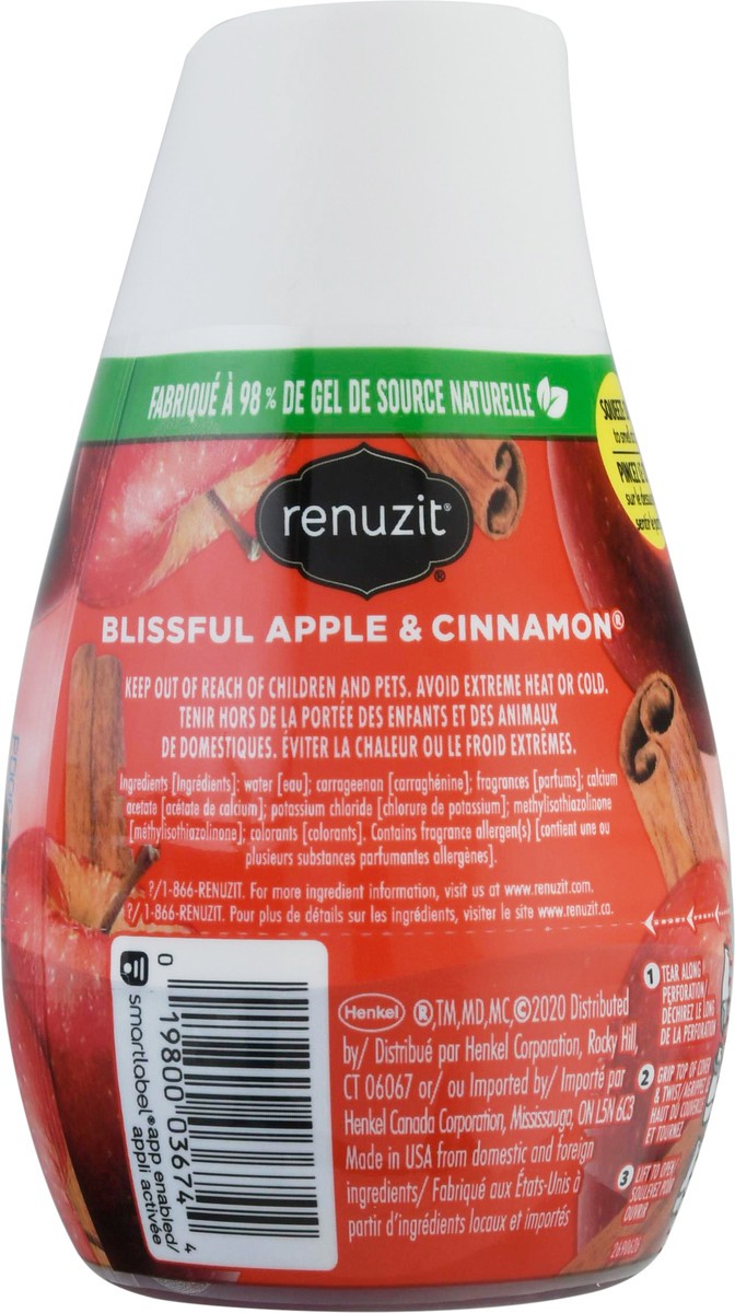 slide 12 of 13, Renuzit Gel Blissful Apple & Cinnamon Air Freshener 7 oz, 7 oz