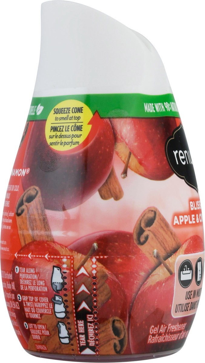 slide 8 of 13, Renuzit Gel Blissful Apple & Cinnamon Air Freshener 7 oz, 7 oz