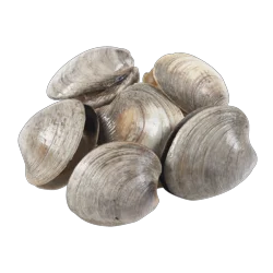 Roche Bros. Angus Whole Fresh Brisket