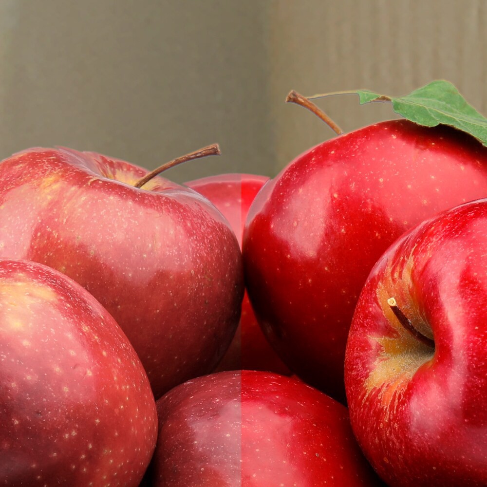 slide 3 of 6, Philips 6.3-Watt (50-Watt) Par20 Medium Base Dimmable Led Light Bulbs, 2 ct