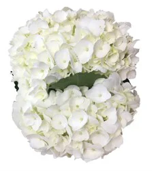 Dierbergs Flowers & Gifts Hydrangea Bouquet