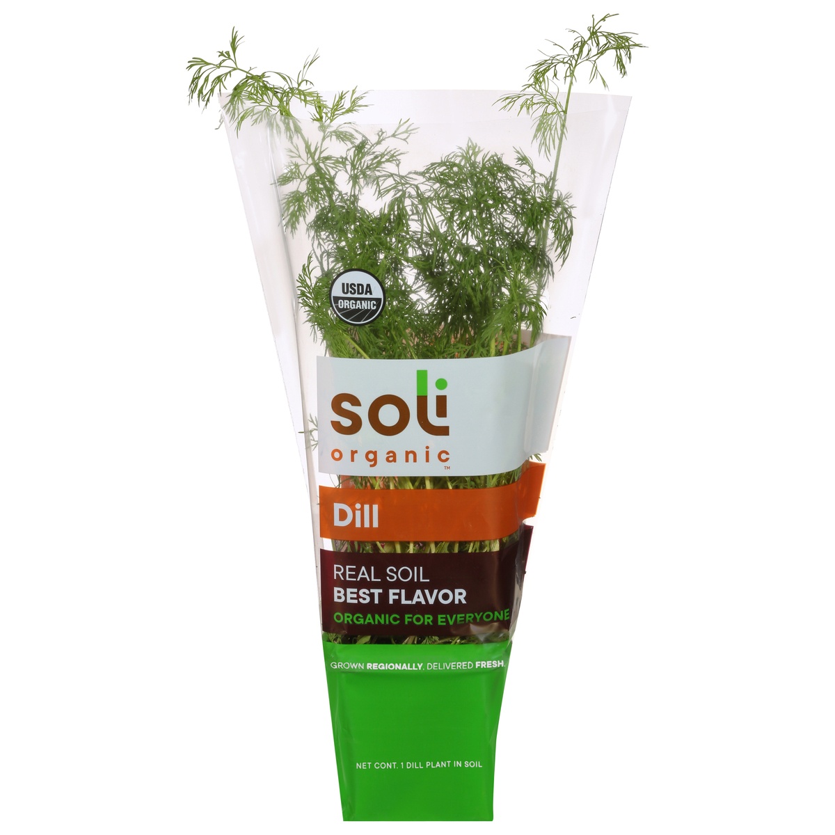 slide 1 of 11, Soli Organic Dill 1 ea, 1 ct