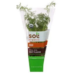 Soli Organic Dill 1 ea