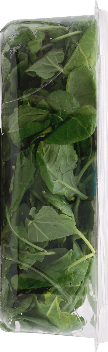 slide 2 of 4, Organic Girl 100% Baby Kale Family Size 9 oz, 9 oz