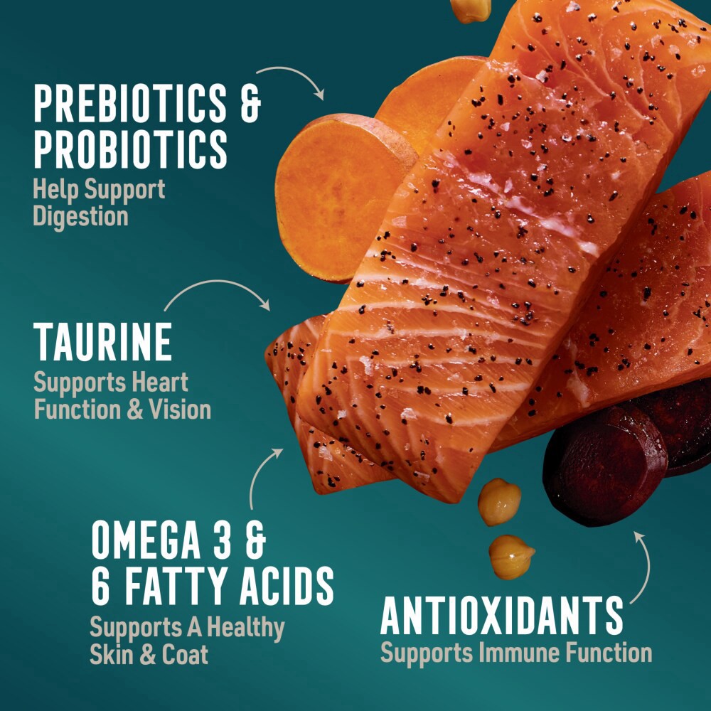 slide 3 of 4, Abound Grain Free Salmon Dry Dog Food, 28 lb