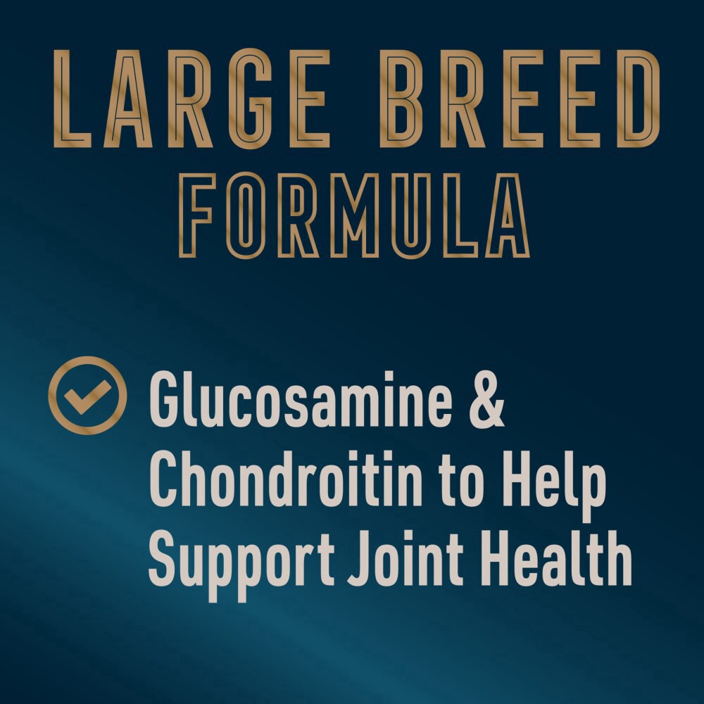 slide 4 of 6, Abound Pro Large Breed Chicken & Brown Rice Dry Dog Food, 30 lb