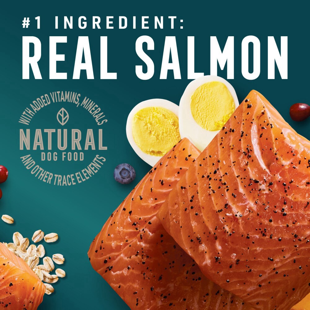 slide 3 of 6, Abound Salmon Egg & Pumpkin Blend Dry Dog Food, 30 lb