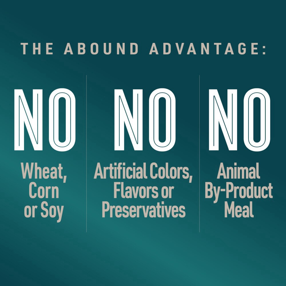 slide 6 of 6, Abound Salmon Egg & Pumpkin Blend Dry Dog Food, 30 lb