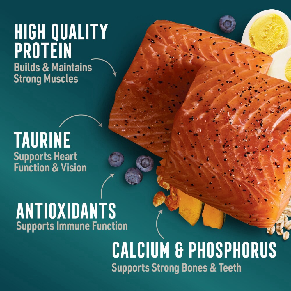 slide 4 of 6, Abound Salmon Egg & Pumpkin Blend Dry Dog Food, 30 lb