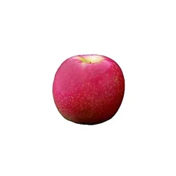 Lady Apple
