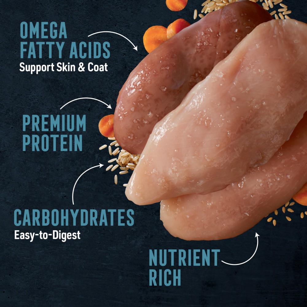 slide 4 of 6, Abound Chicken Duck & Turkey Joint Health Recipe Wet Dog Food Can, 13.2 oz