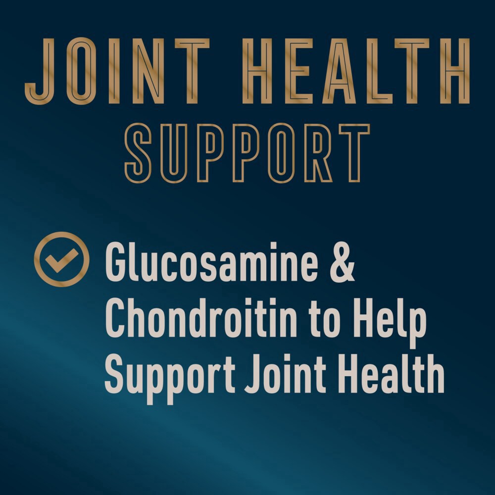 slide 2 of 6, Abound Chicken Duck & Turkey Joint Health Recipe Wet Dog Food Can, 13.2 oz