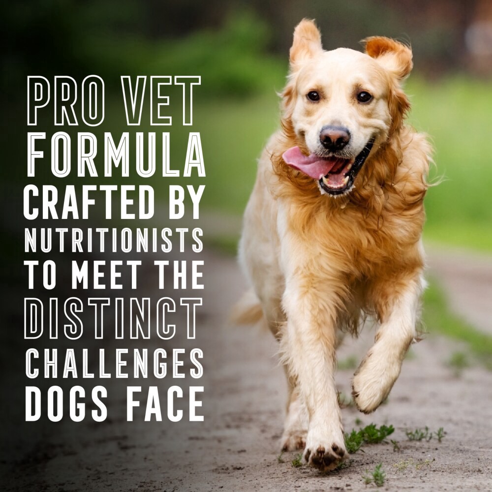 slide 2 of 6, Abound Pro Vet Formulated Senior Dry Dog Food, 8 lb