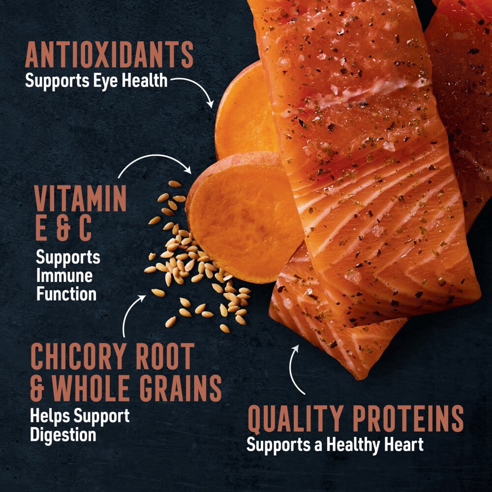 slide 4 of 6, Abound Pro Vet Formulated Senior Dry Dog Food, 8 lb