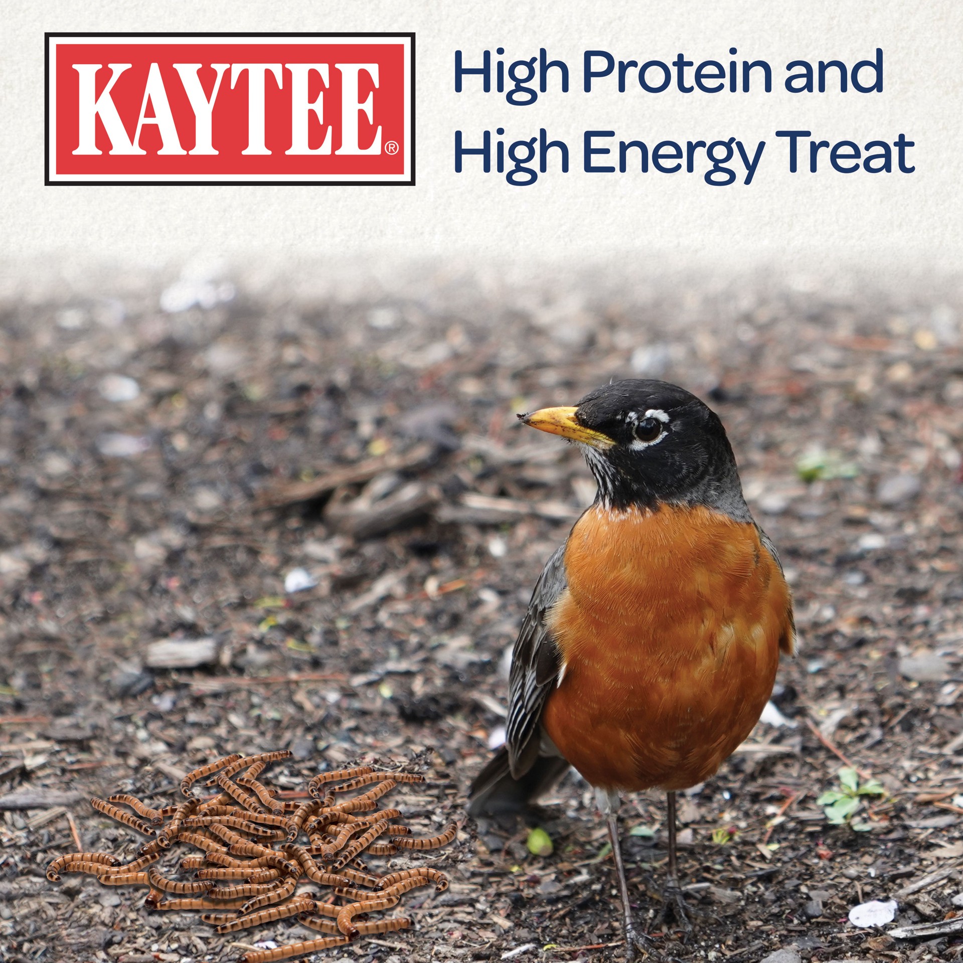 slide 6 of 6, Kaytee Mealworm Food Pouch 7oz, 1 ct