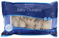 Panamei Octopus Baby