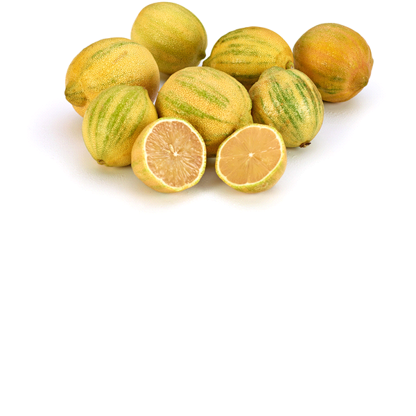 slide 1 of 1, Limoneira Pink Lemons In Bag, 0.5 lb