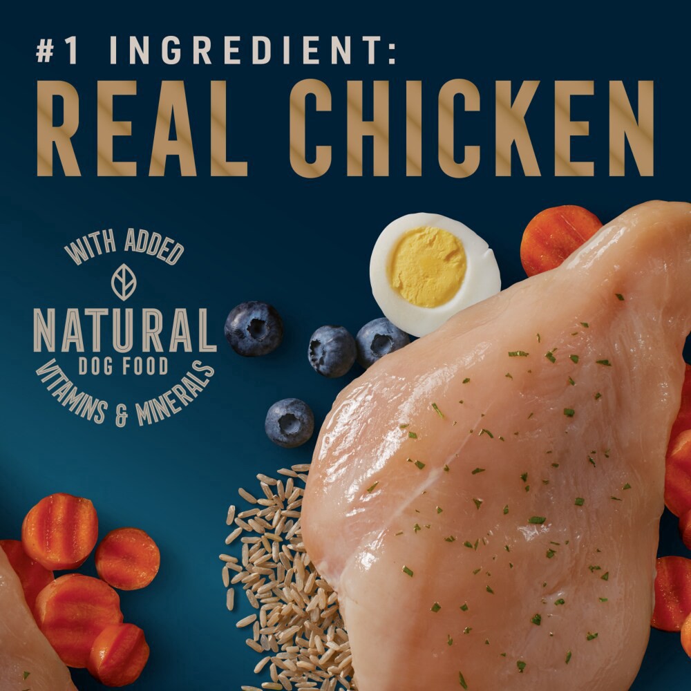 slide 2 of 6, Abound Chicken With Vegetable Stew Puppy Wet Dog Food, 13.2 oz