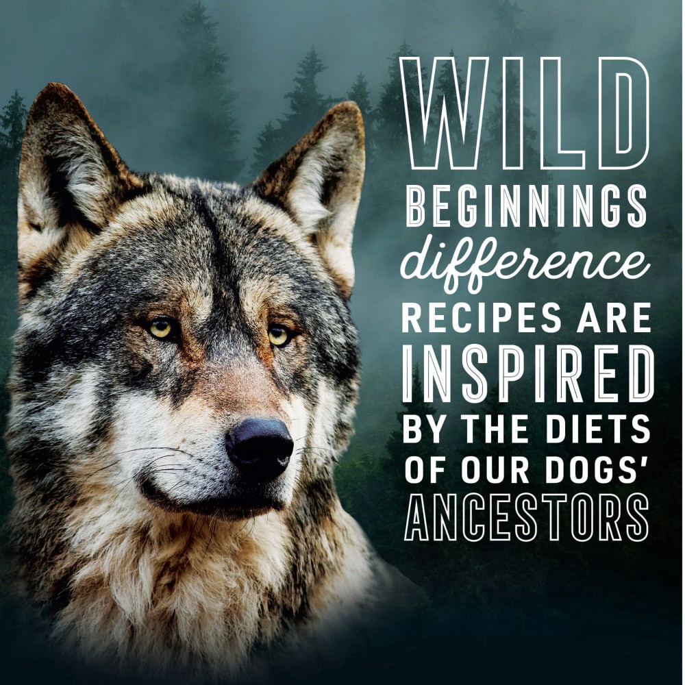 slide 6 of 6, Abound Wild Beginnings Beef Venison & Lamb Dry Dog Food, 4 lb