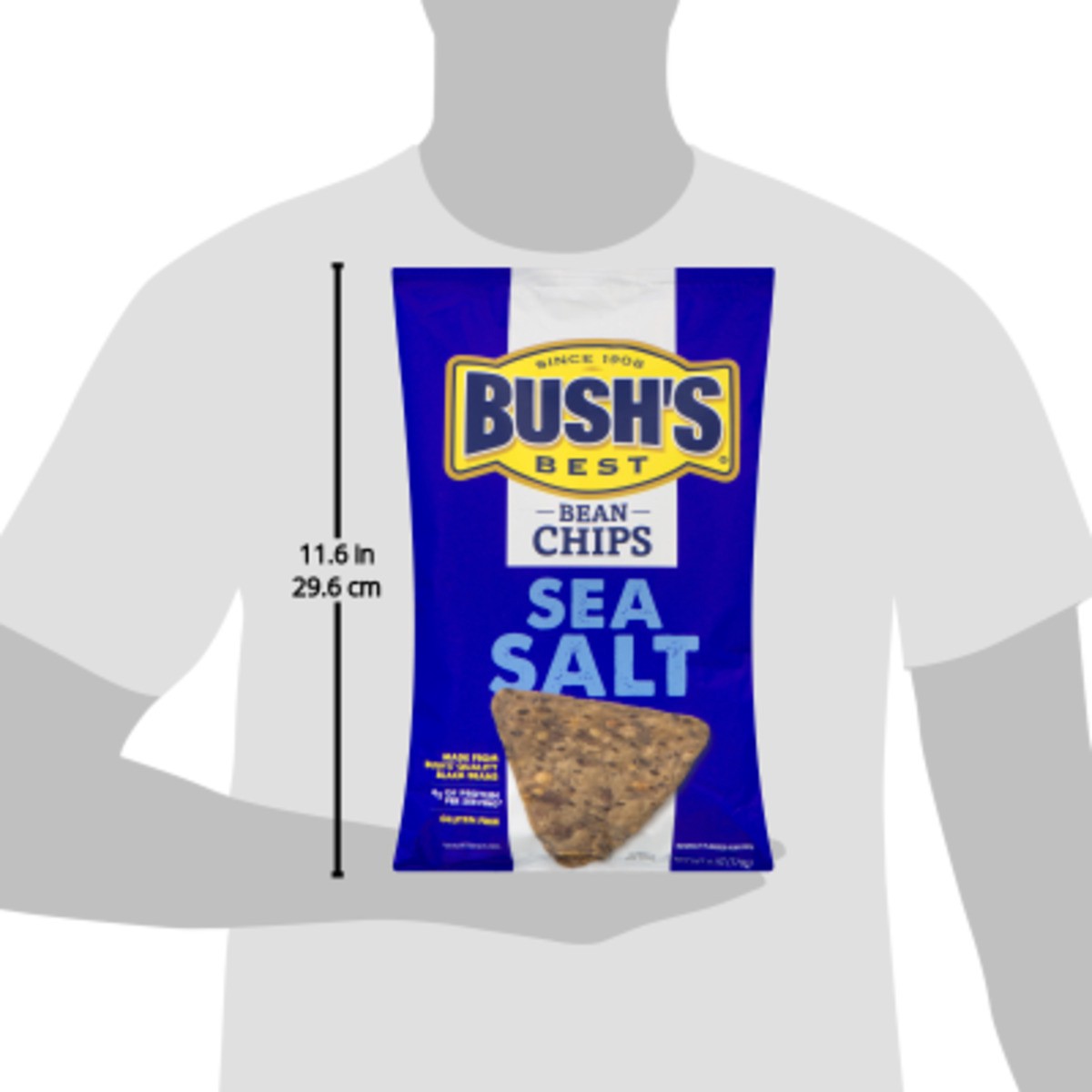 slide 3 of 11, Bush's Best Bush's Sea Salt Bean Chips 6 oz pouch, 6 oz