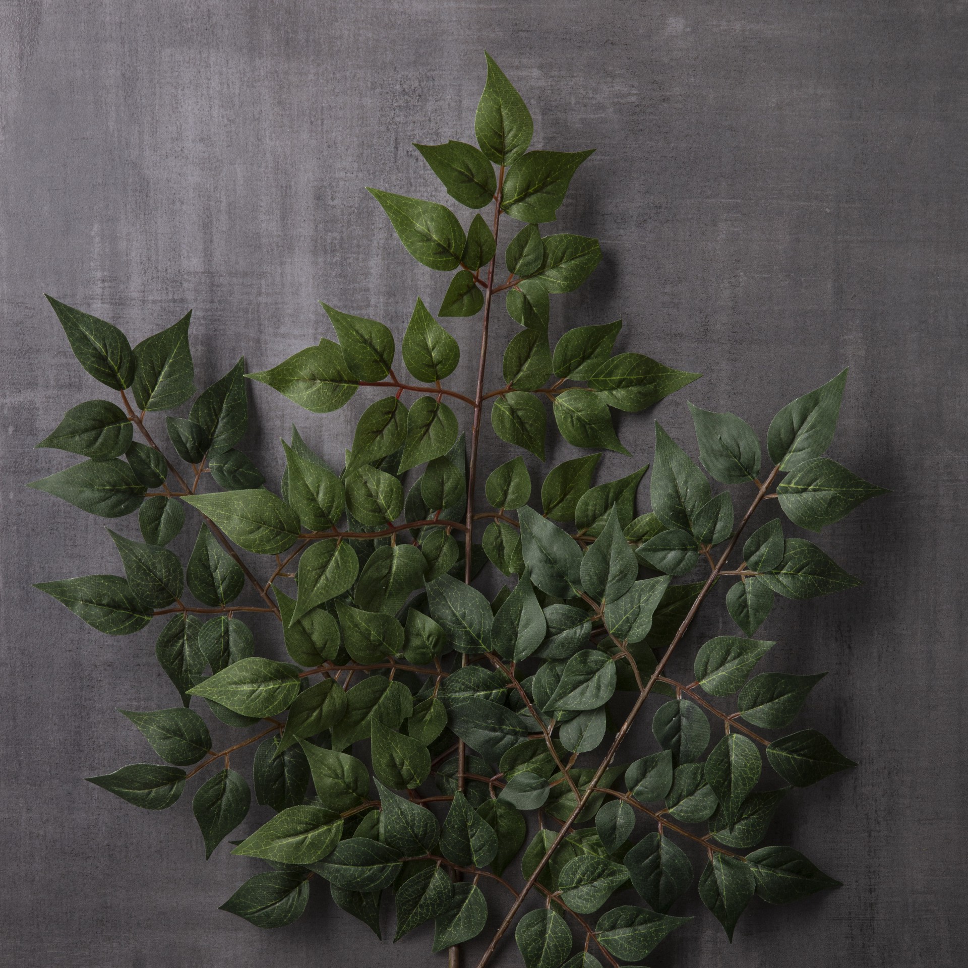 slide 3 of 3, China Dollar Spray Floral Essentials By Ashland, 25.5 in