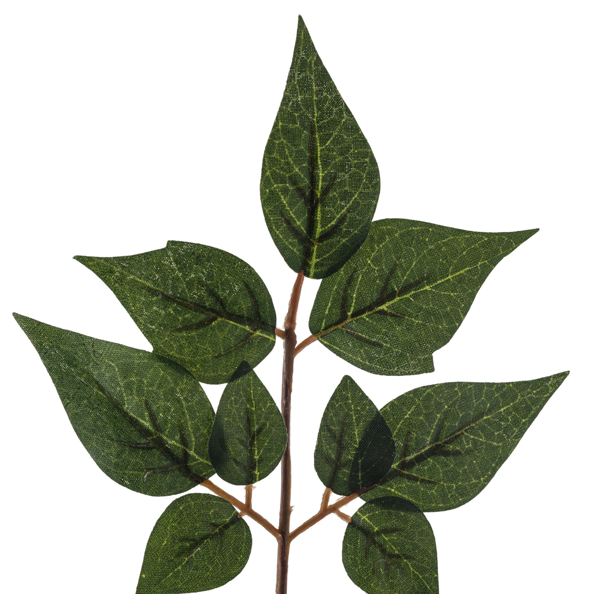 slide 2 of 3, China Dollar Spray Floral Essentials By Ashland, 25.5 in