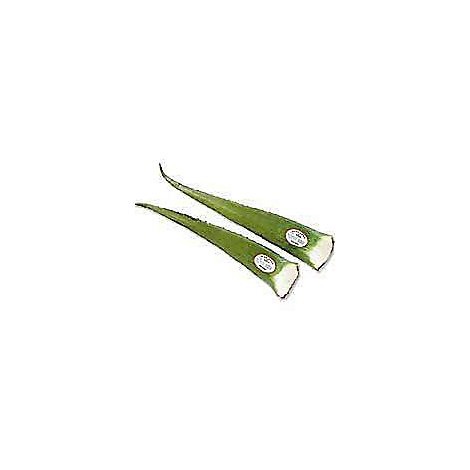slide 1 of 1, Aloe Vera Leaves, 1 ct