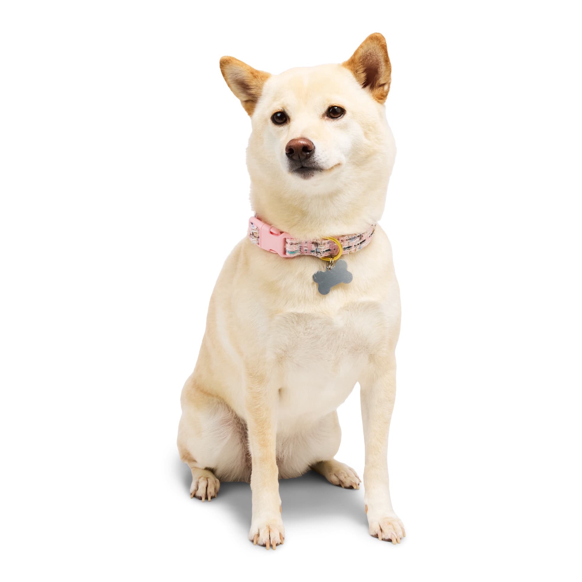 slide 1 of 1, YOULY Pink Boucle Dog Collar, Pink Boucle, Medium, MED