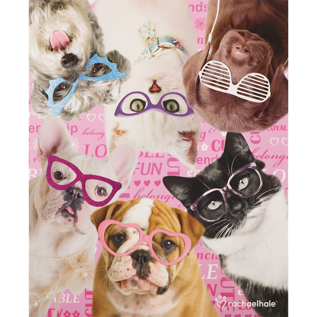 slide 1 of 1, Rachel Hale 2 Pocket Portfolio, 1 ct