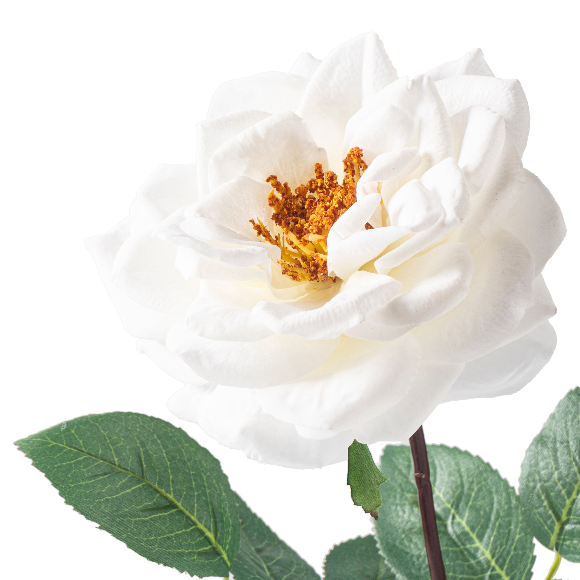 slide 4 of 4, Orlane Rose Stem By Ashland, 25.5 in