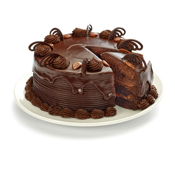 slide 1 of 1, Meijer Double Layer Cake, Special Chocolate, 62 oz