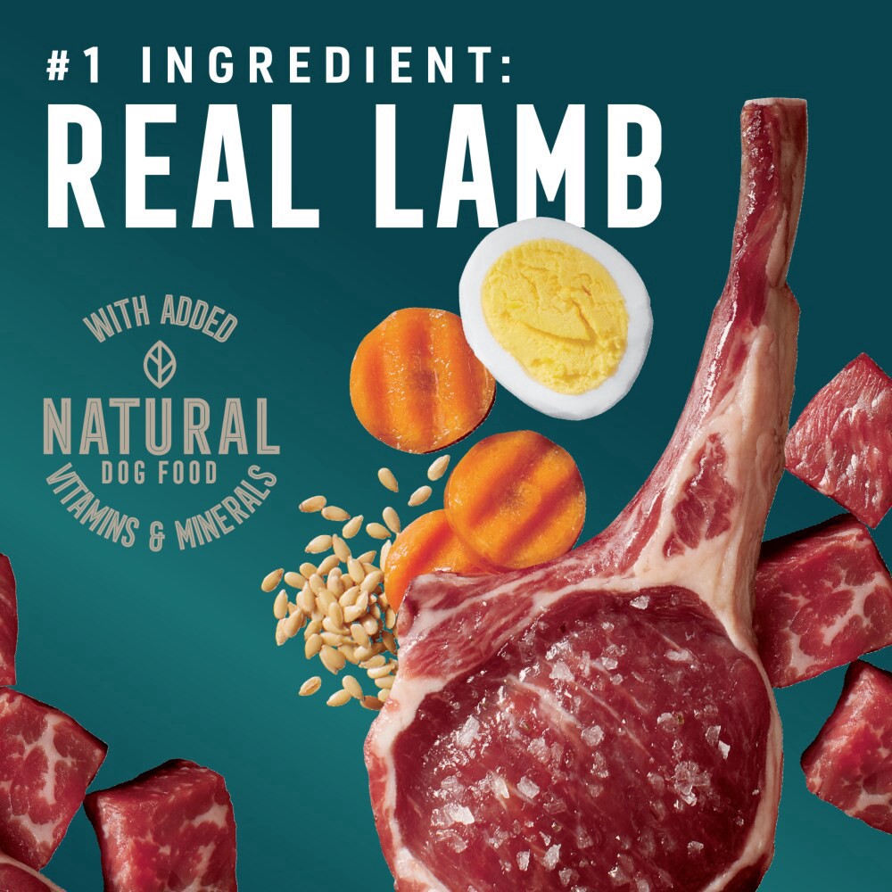 slide 2 of 5, Abound Lamb And Beef Pate Wet Dog Food, 3.5 oz