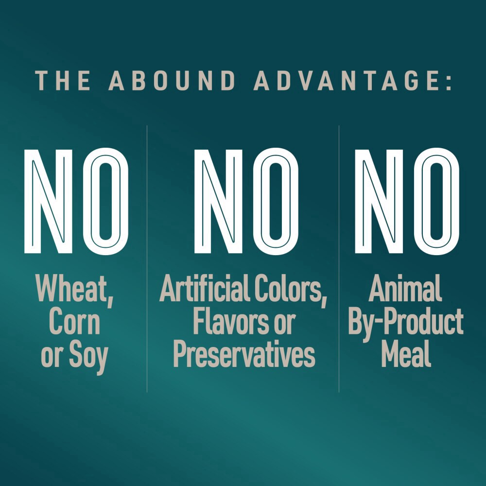 slide 2 of 5, Abound Turkey Sweet Potato Pate Wet Dog Food, 3.5 oz