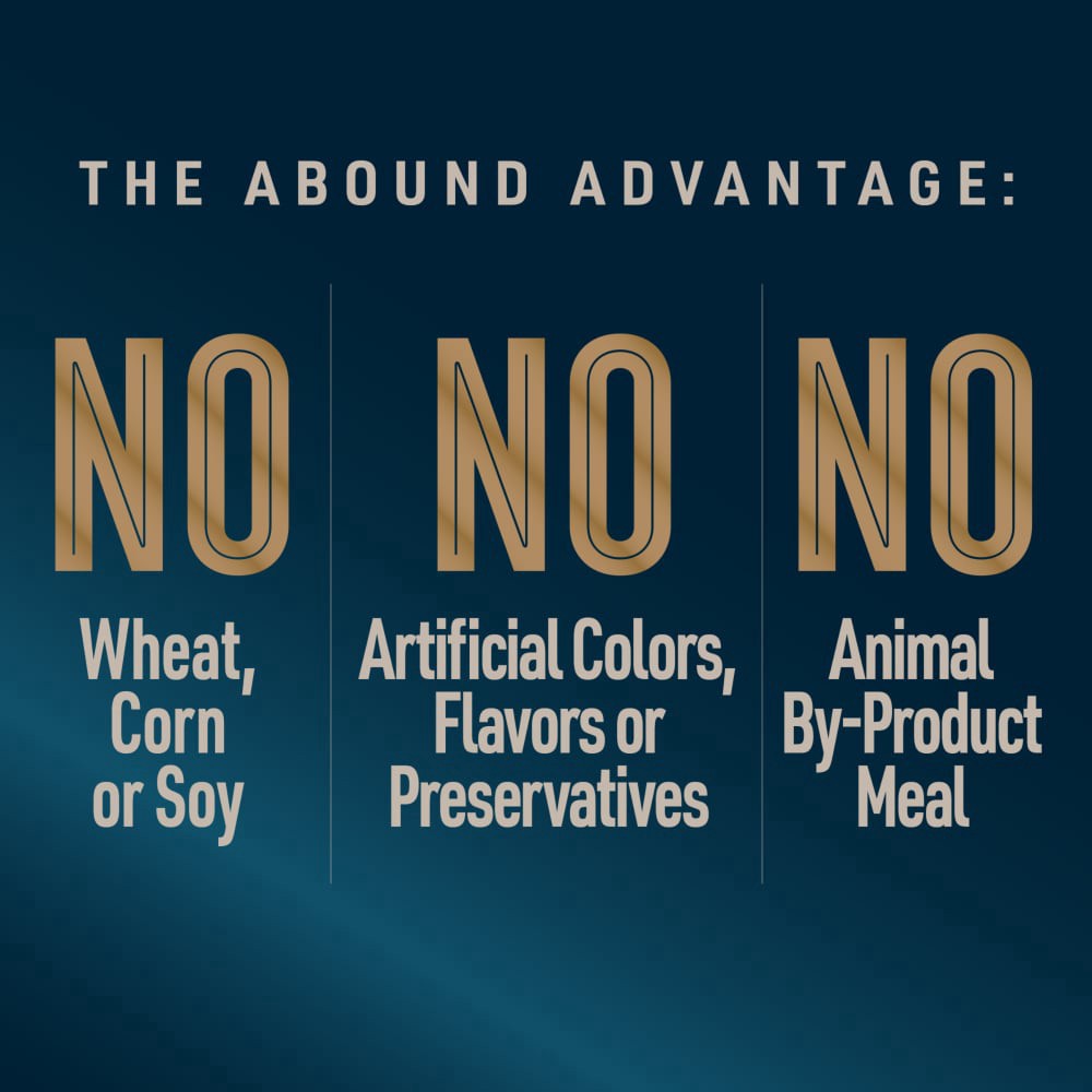 slide 3 of 6, Abound Turkey Weight Management Wet Dog Food Can, 13.2 oz