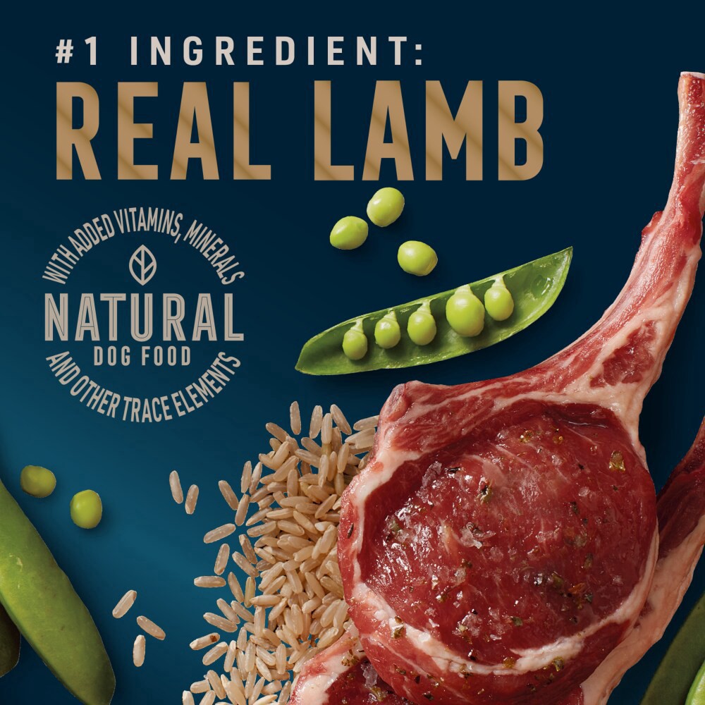 slide 2 of 6, Abound Pro Vet Formulated Sensitive Stomach Lamb & Brown Rice Dry Dog Food, 8 lb