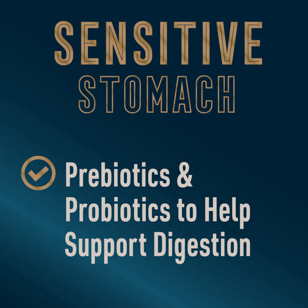 slide 6 of 6, Abound Pro Vet Formulated Sensitive Stomach Lamb & Brown Rice Dry Dog Food, 8 lb