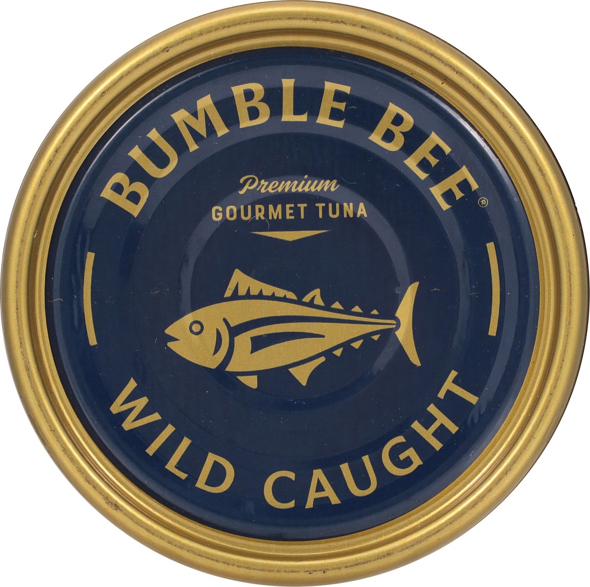 slide 7 of 9, Bumble Bee Prime Fillet Tonno Solid Light Tuna in Olive Oil, 5 oz