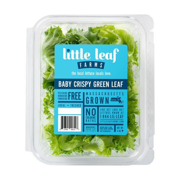 slide 1 of 1, Little Leaf Farms Green Leaf Baby Crispy Lettuce 4 oz, 4 oz