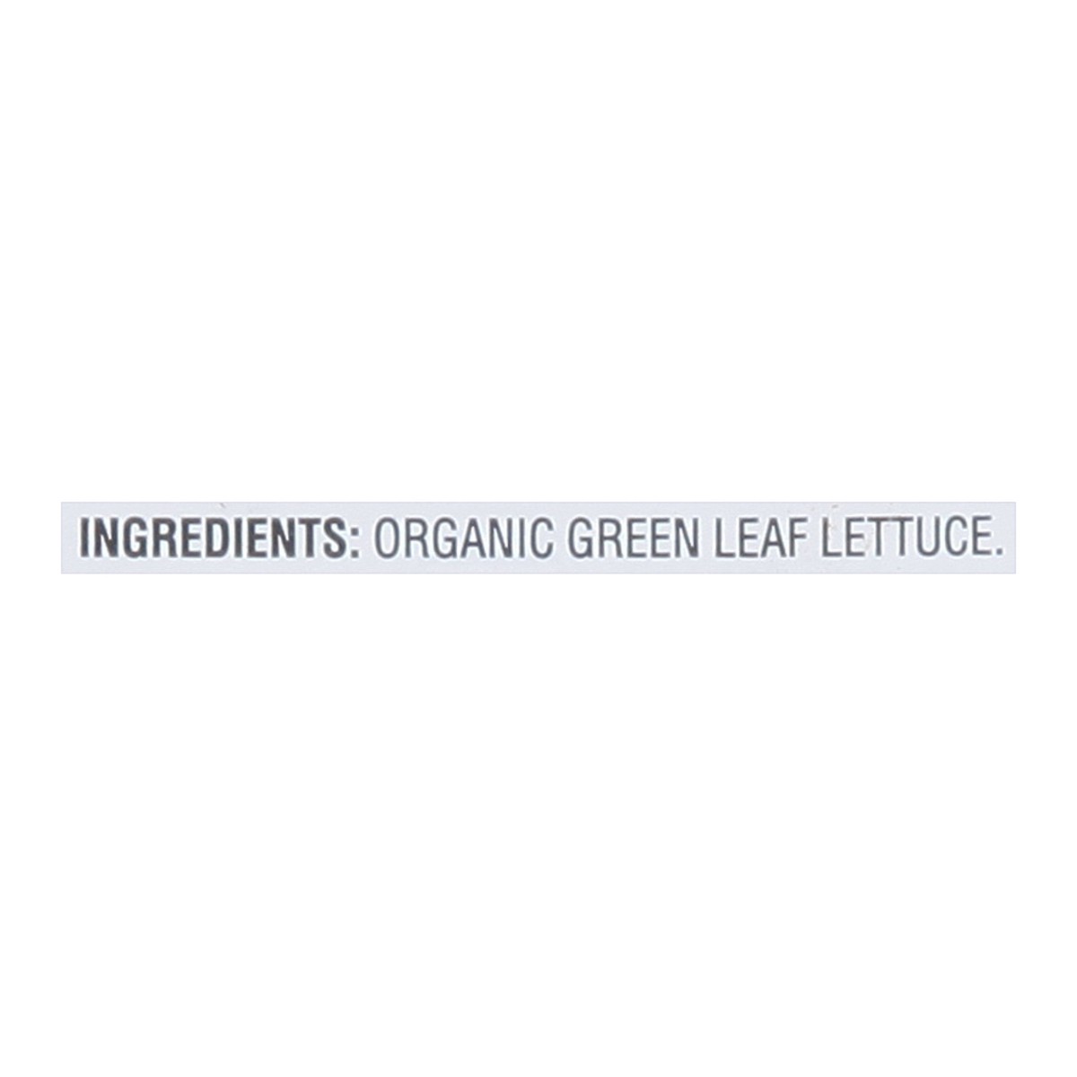 slide 2 of 14, Full Circle Market Organic Green Leaf, 1 lb