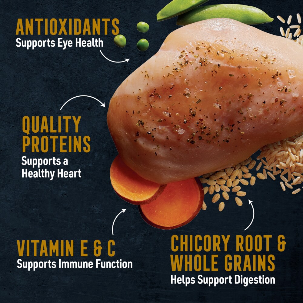 slide 3 of 6, Abound Pro Vet Formulated Chicken & Brown Rice Dry Puppy Food, 8 lb