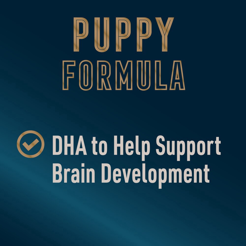 slide 4 of 6, Abound Pro Vet Formulated Chicken & Brown Rice Dry Puppy Food, 8 lb