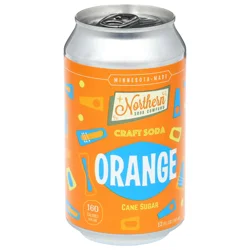 Northern Soda Company Orange Craft Soda 12 fl oz