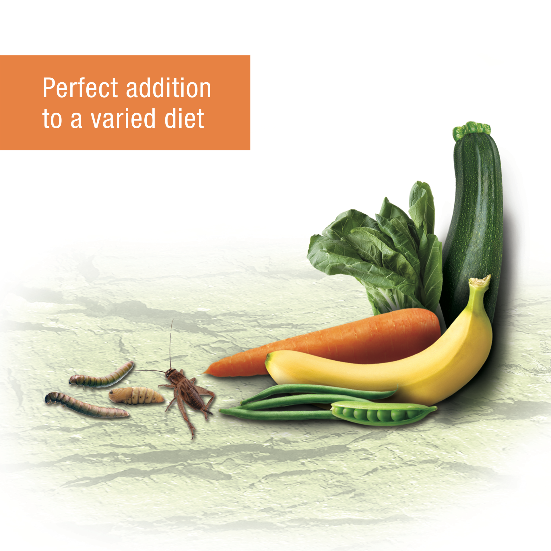 slide 4 of 10, Zilla Reptile Munchies Omnivore with Calcium 4 Ounces, 1 cnt