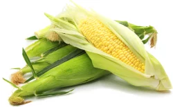 Sweet Corn In The Husk