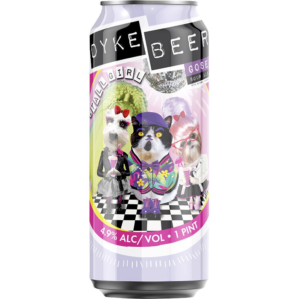 slide 1 of 1, Dyke Beer Tall Girl Gose, 4 ct; 16 oz