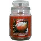 slide 1 of 1, STAR Jar Candle Apl Cinna, 18 oz